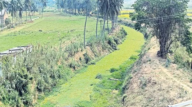 పంచుకున్నారు.. మింగేశారు