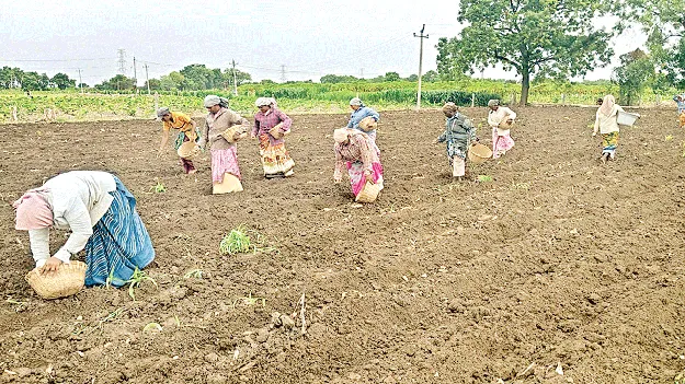 కోటి ఆశలతో..