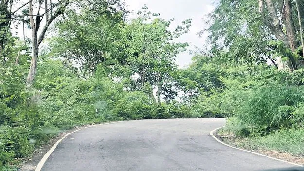 ప్రమాదభరితం.. ఘాట్‌ ప్రయాణం! 