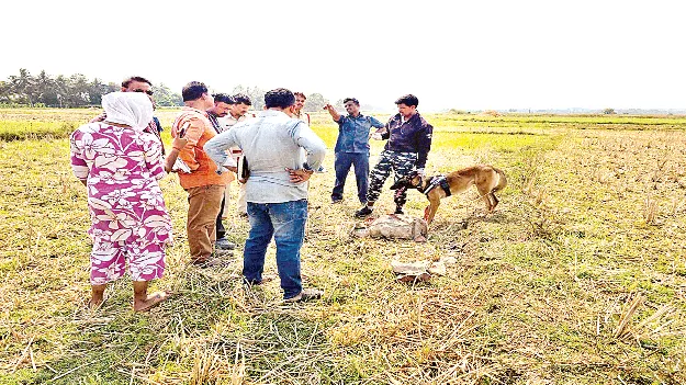 విగ్రహం పగలగొట్టి.. పొలాల్లో విసిరేసి