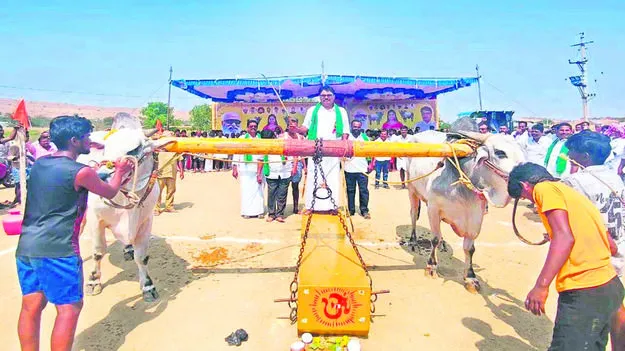 FESTIVAL: ఉత్సాహంగా రాతిదూలం లాగుడు పోటీలు