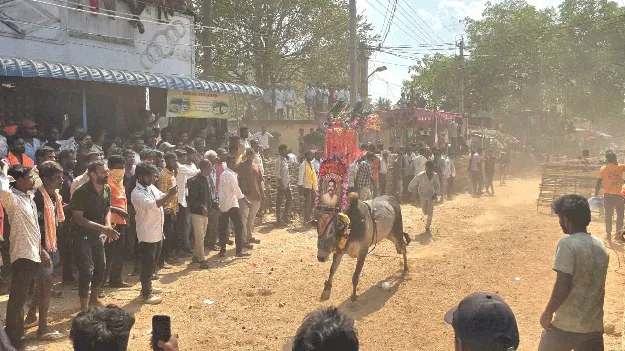 కోడెగిత్తల పౌరుషం 