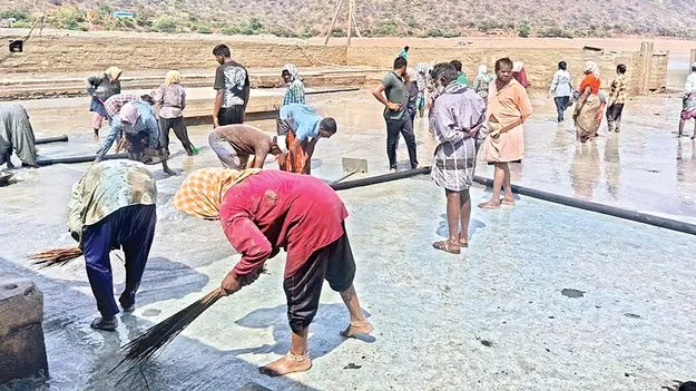 నేటి నుంచి సంగమేశ్వరుడికి పూజలు