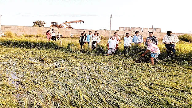 అంచనాలు వేసి.. నివేదికలు ఇచ్చినా