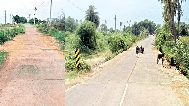 వంతెనలు నిర్మించేదెప్పుడు?