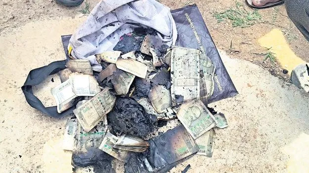 అప్పుతెచ్చిన డబ్బులు కాలిపోయే