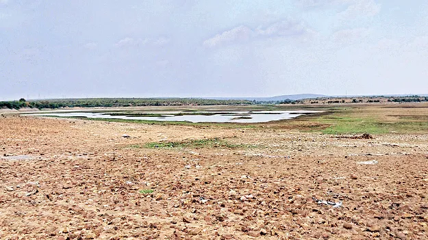 సాగునీరు లేక అవస్థలు