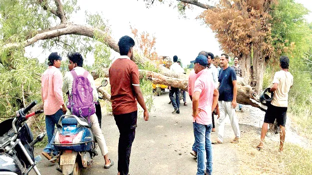 గాలివాన బీభత్సం