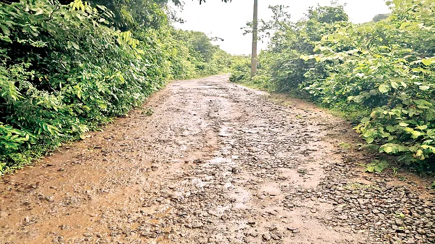 రాళ్లు తేలి.. బురదమయమై..