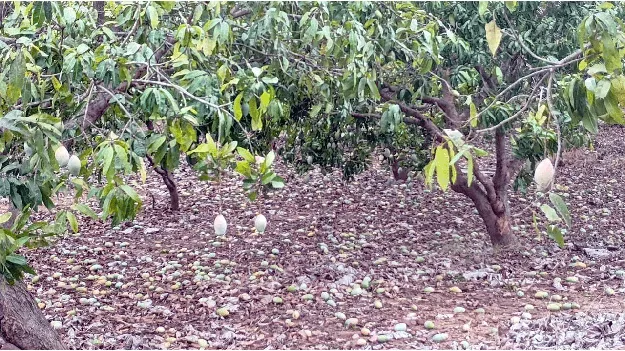 అలా వదిలేశారు 