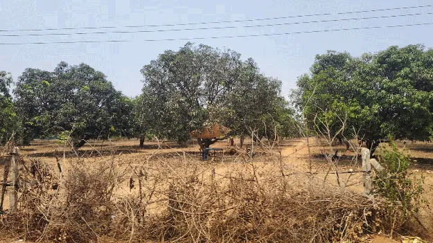 విమానాశ్రయంపై ఆశలు 