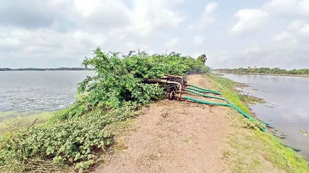 పక్షుల కేంద్రం చెరువులోకి నీటి తోడకం 