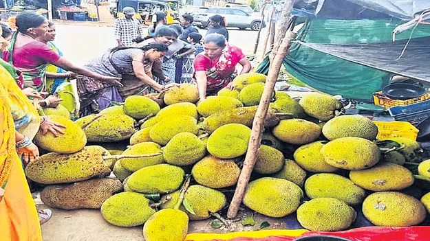 మన్యంలో పనస ఘుమఘుమలు 