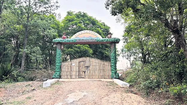 శరవేగంగా సీతాకోకచిలుక ప్రాజెక్టు పనులు