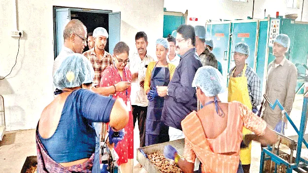 టీటీడీకి మన్యం జీడిపప్పు