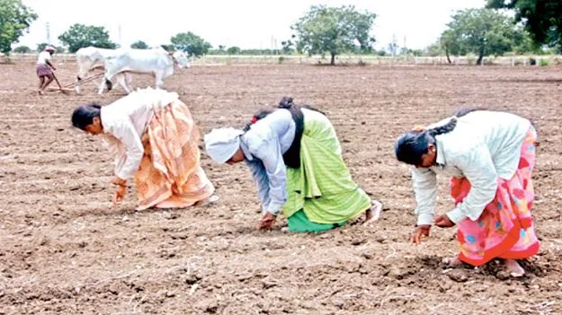 సాధారణం కంటే ఎక్కువ వర్షం 