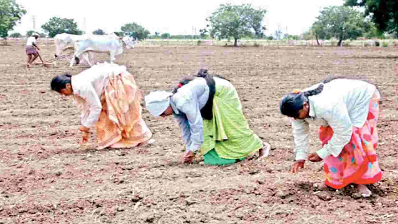 సాధారణం కంటే ఎక్కువ వర్షం