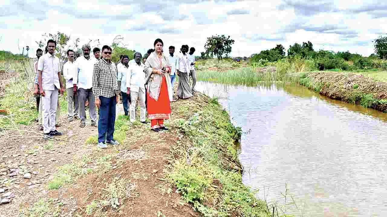 రైతులకు ఇబ్బంది లేకుండా చర్యలు: కలెక్టర్‌