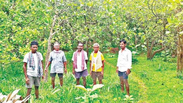 తరతరాలుగా సాగు..  దక్కని హక్కు