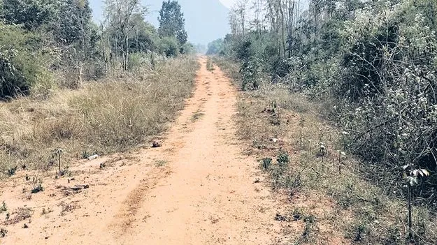 వాకరోడ్డు కుదింపు