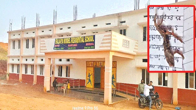 స్నాక్స్‌లో బల్లి!