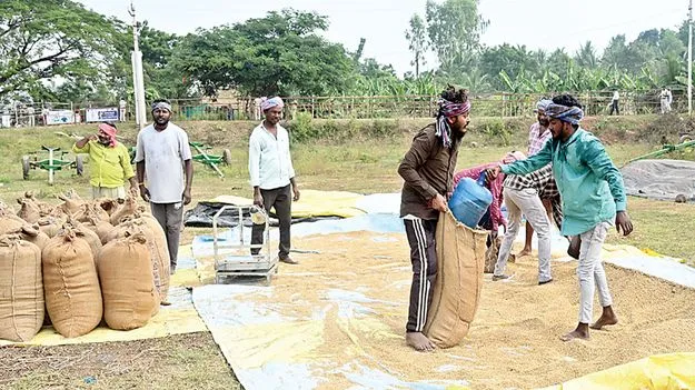 ఈ క్రాప్‌ రెడీ..