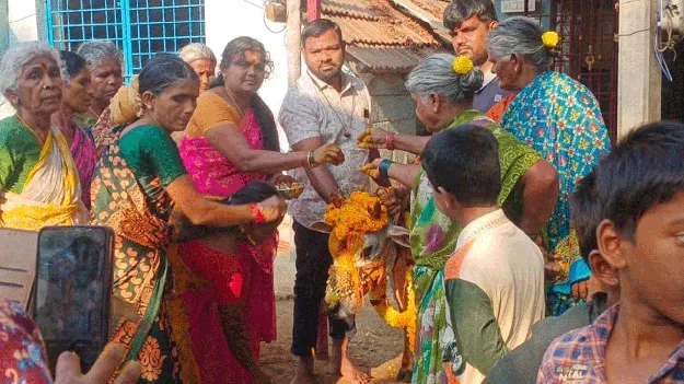 ఆవుకు ‘సీమంతం’