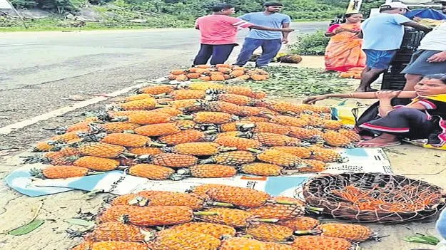 జోరుగా పైనాపిల్‌ విక్రయాలు 