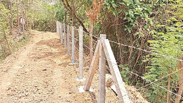 It's okay to put up fencing! ఫెన్సింగ్‌ వేస్తే సరి!
