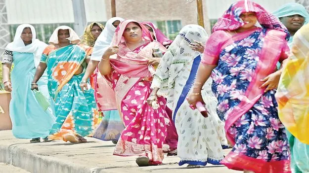 రోహిణీ సెగ 