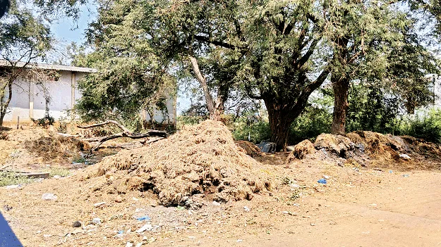 భూమాయం