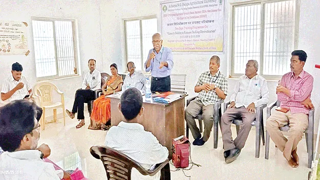 ప్రత్యామ్నాయ పంటలు సాగు చేయండి