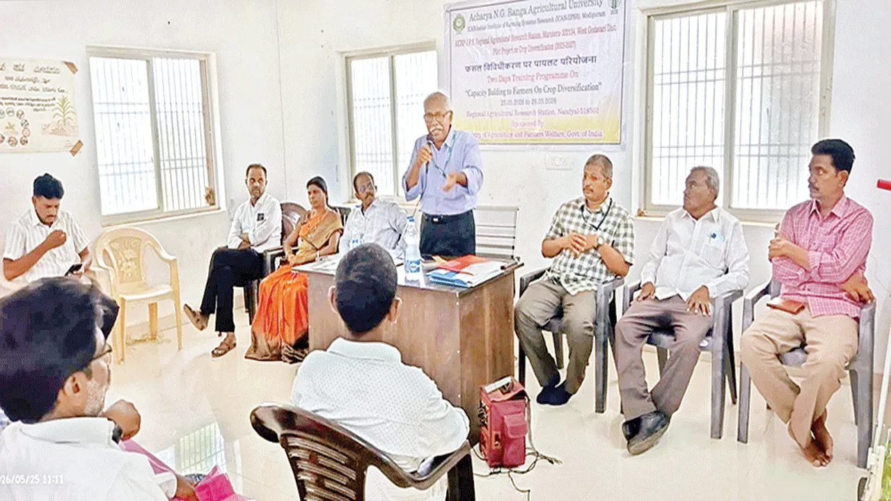ప్రత్యామ్నాయ పంటలు సాగు చేయండి