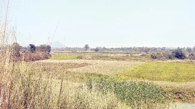 please respond us మా మొర ‘ఇనాం’డయ్యా..!