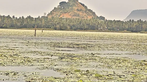కొండకర్ల ఆవకు పర్యాటక శోభ!