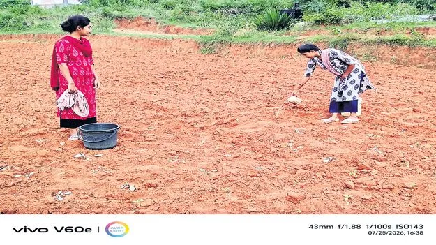 కరువు ఛాయలు