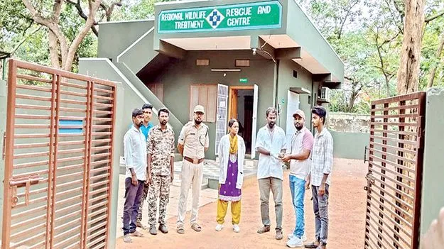 అటవీ అధికారులకు నక్షత్ర తాబేలు 