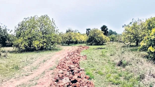 మరింత భూ సేకరణ