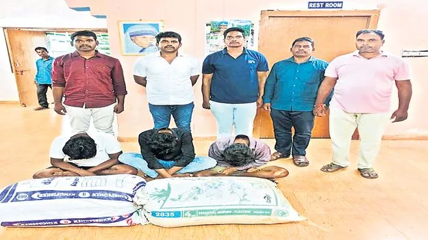 60 కిలోల గంజాయి స్వాధీనం