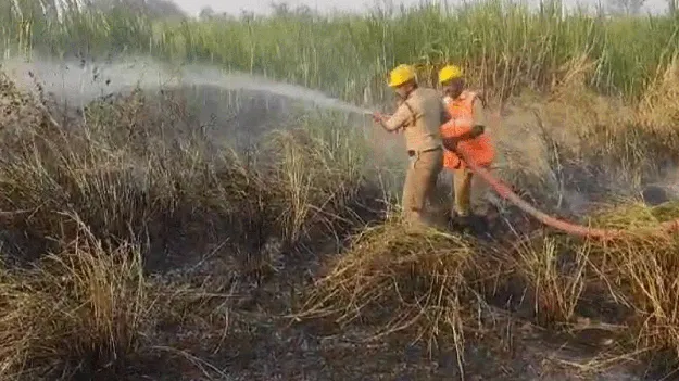 పేదల ఊటీ కాలిపోతోంది