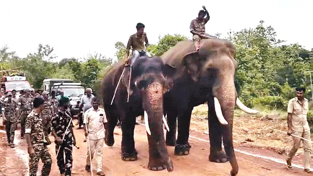  మన్యం చేరిన కుంకీలు