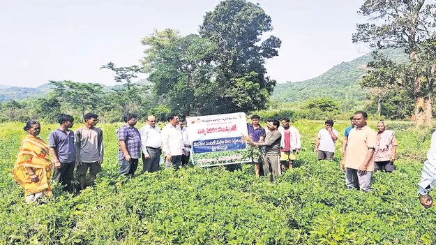 వేరుశనగ సాగుకు ప్రభుత్వ ప్రోత్సాహం