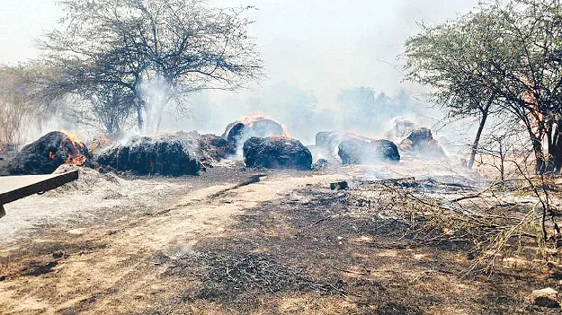 అగ్నికి ఆహుతైన గడ్డివాములు