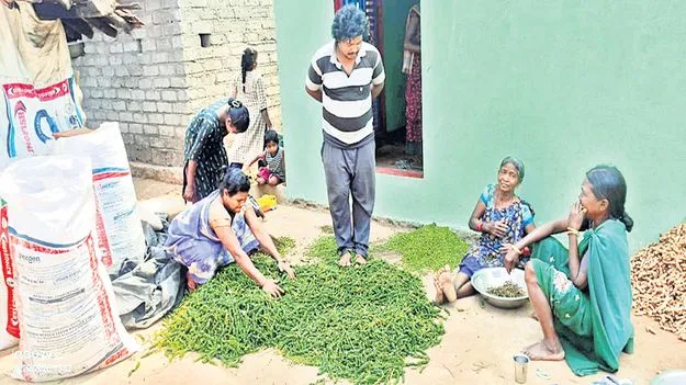 మిరియాలకు రికార్డు స్థాయి ధర