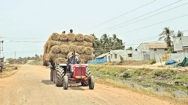 ఎండు గడ్డికి గిరాకీ