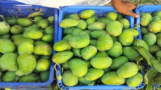 మార్కెట్‌ను ముంచెత్తిన