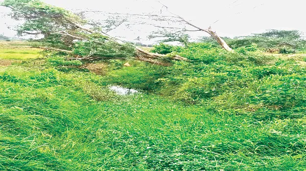 కాలువలు ఇలా.. సాగునీరు ఎలా?