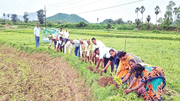 ఉత్సాహంగా ‘గట్టు మీద చెట్టు’