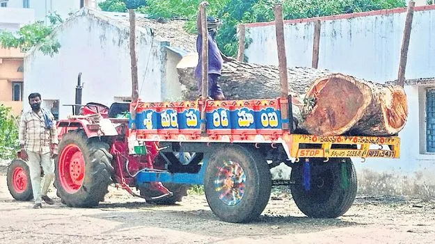 వృక్షాలపై వేటు