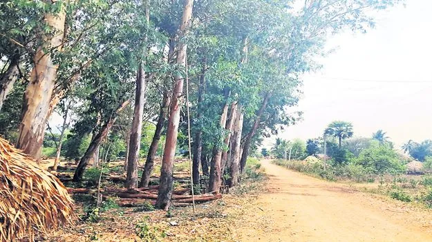 వేలం వేస్తే కోట్లు.. కానీ పట్టించుకోరు